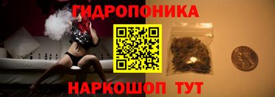 сатива Кимры