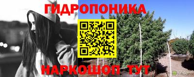 ПСИЛОЦИБИНОВЫЕ ГРИБЫ Кинель